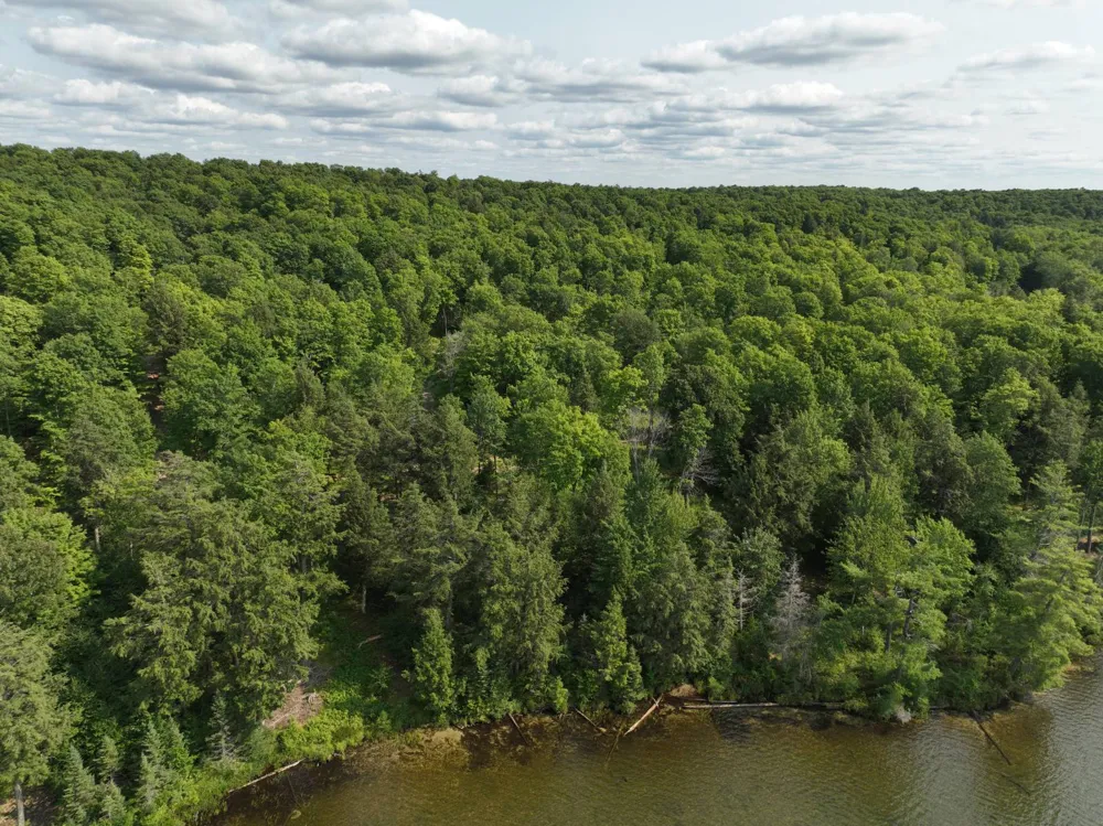 Lot 12 Little Smoky Lk Est Iron River, MI 49935