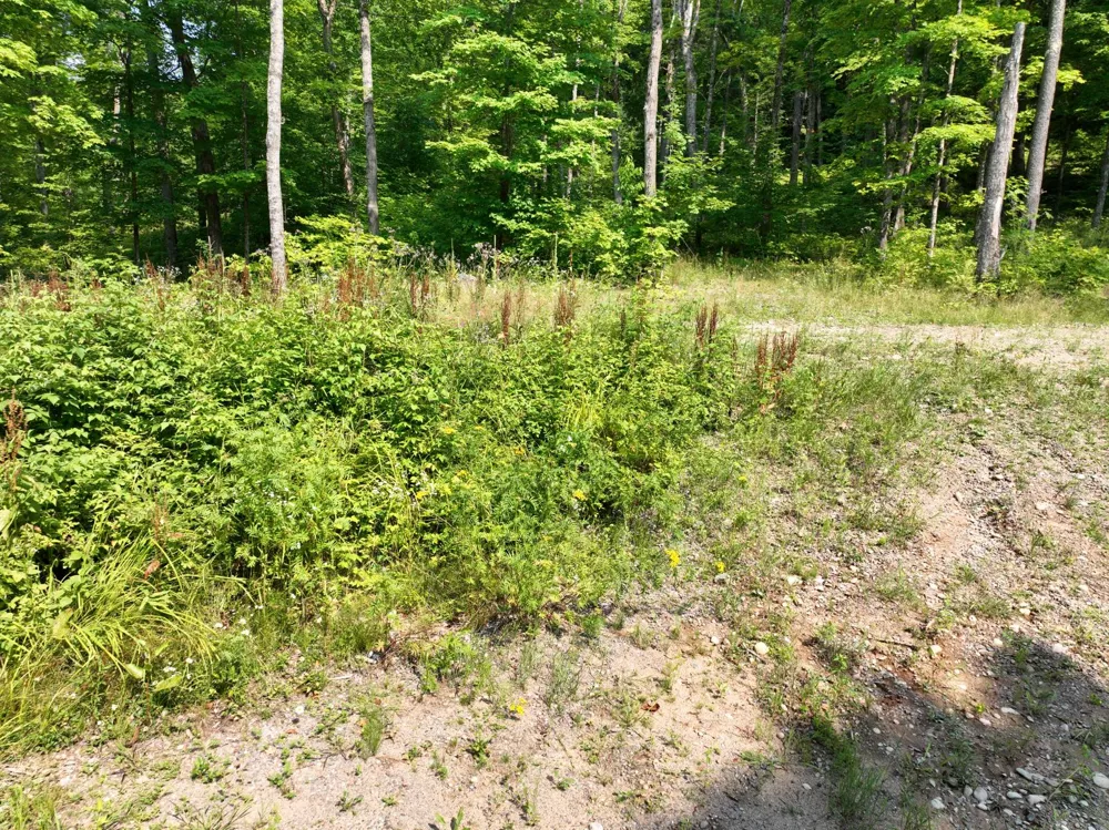 Lot 12 Little Smoky Lk Est Iron River, MI 49935