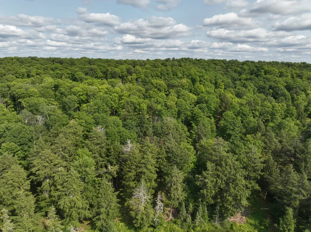 Lot 12 Little Smoky Lk Est Iron River, MI 49935