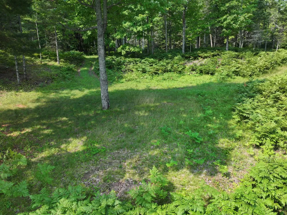 3839 W Brule Lake Road Iron River, MI 49935
