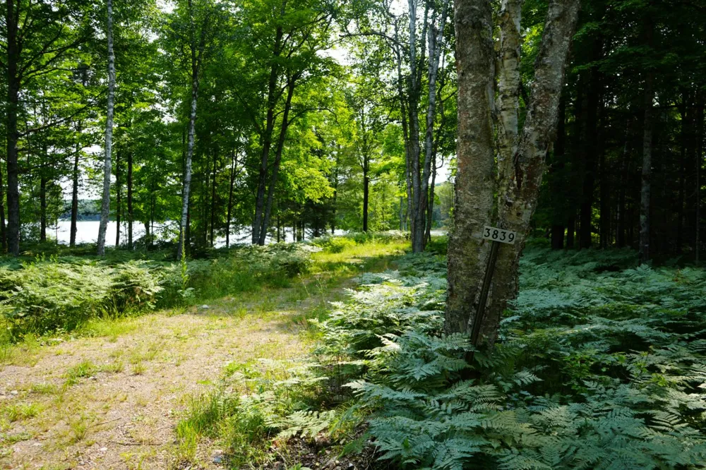 3839 W Brule Lake Road Iron River, MI 49935