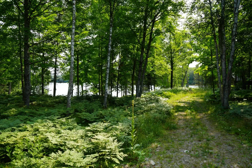 3839 W Brule Lake Road Iron River, MI 49935