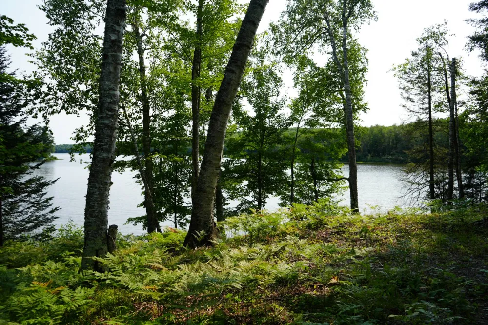 3839 W Brule Lake Road Iron River, MI 49935