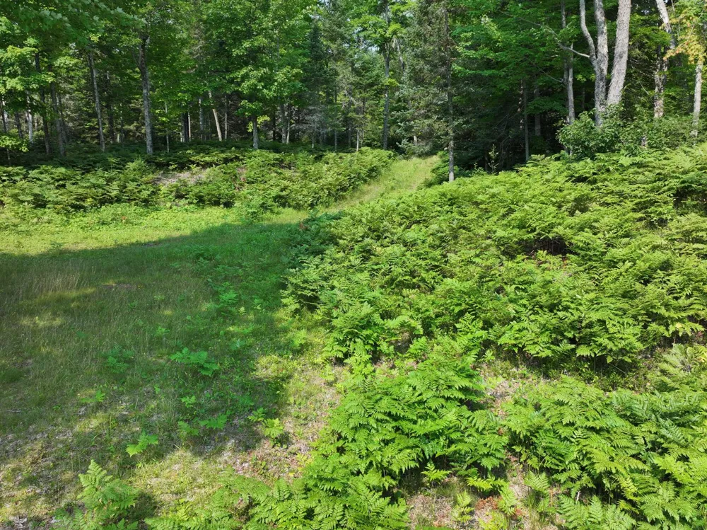 3839 W Brule Lake Road Iron River, MI 49935