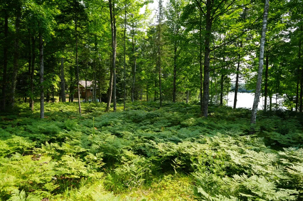 3839 W Brule Lake Road Iron River, MI 49935