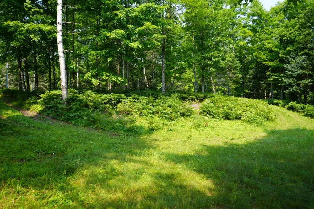3839 W Brule Lake Road Iron River, MI 49935