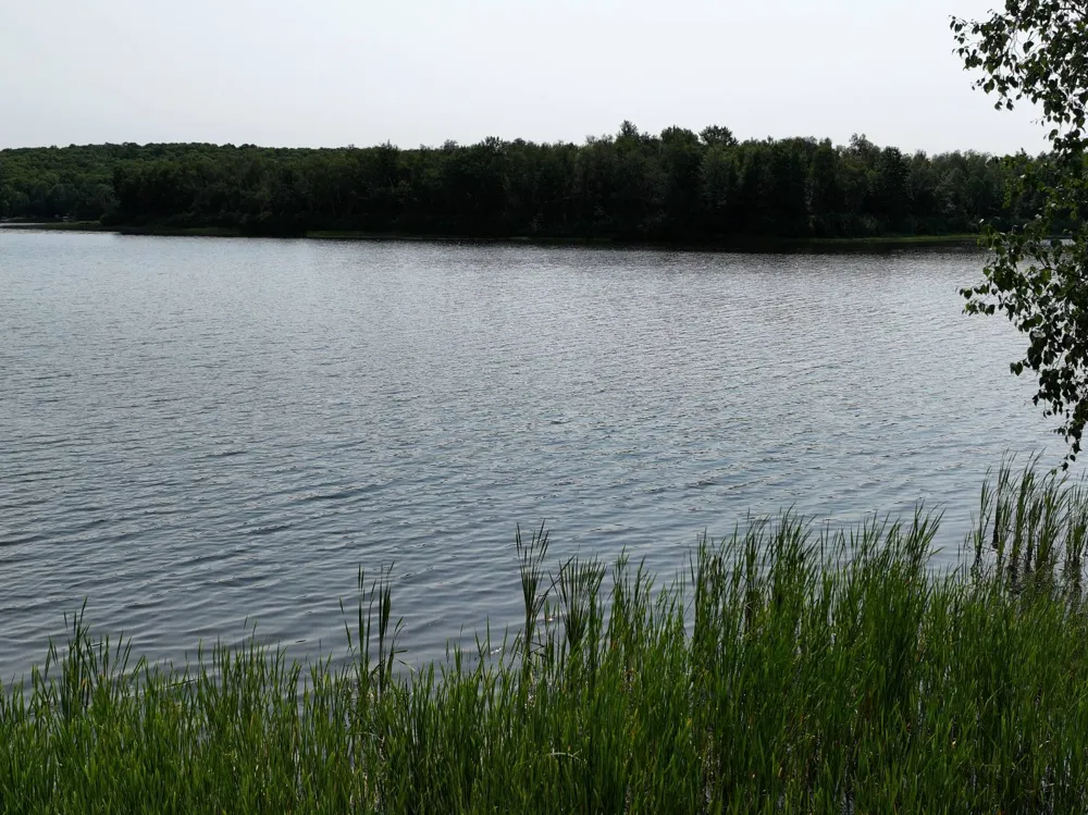 3839 W Brule Lake Road Iron River, MI 49935