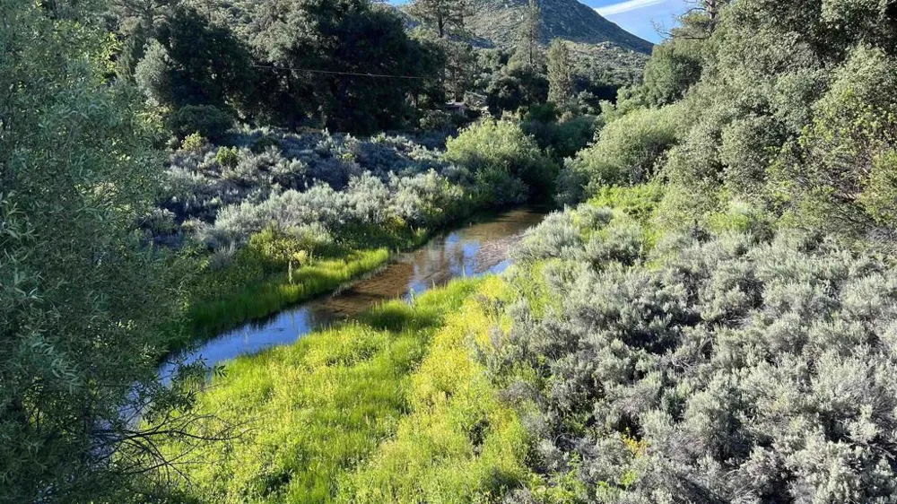 9150 Pine Creek #22 Pine Valley, CA 91962