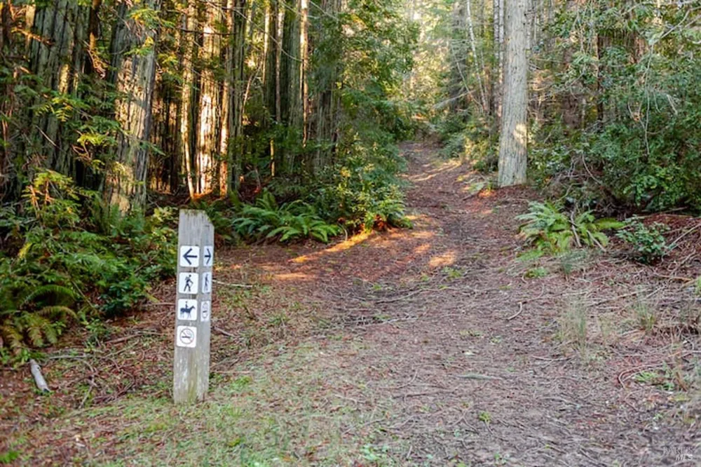 384 Madrone Meadow The Sea Ranch, CA 95497
