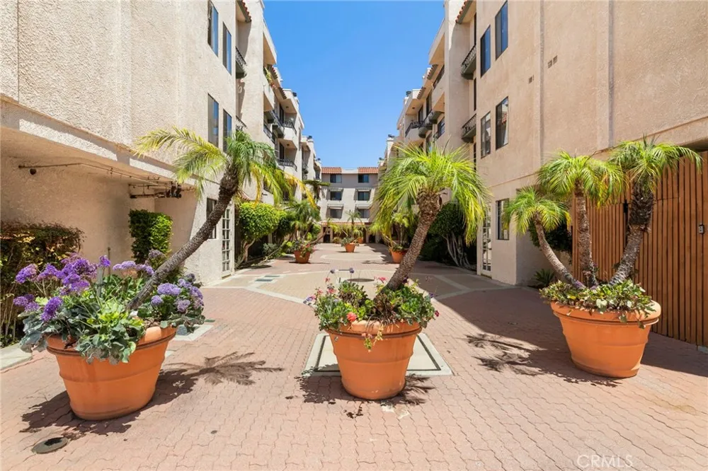 28004 S Western Avenue #115 San Pedro, CA 90732