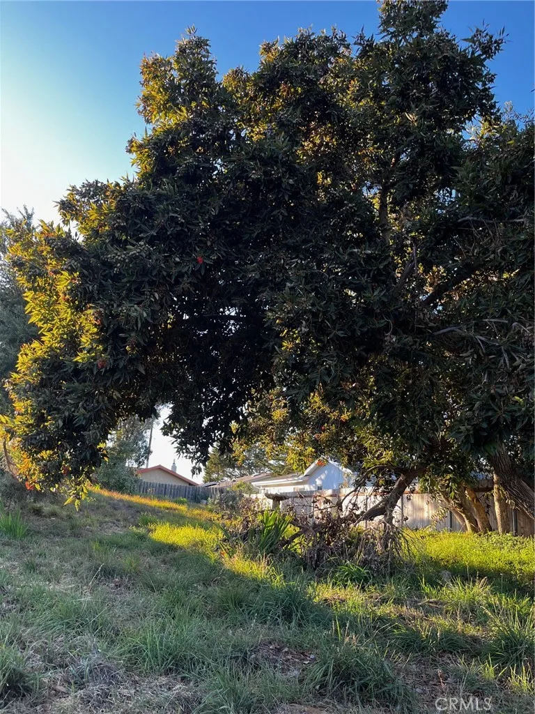 16th Street Los Osos, CA 93402