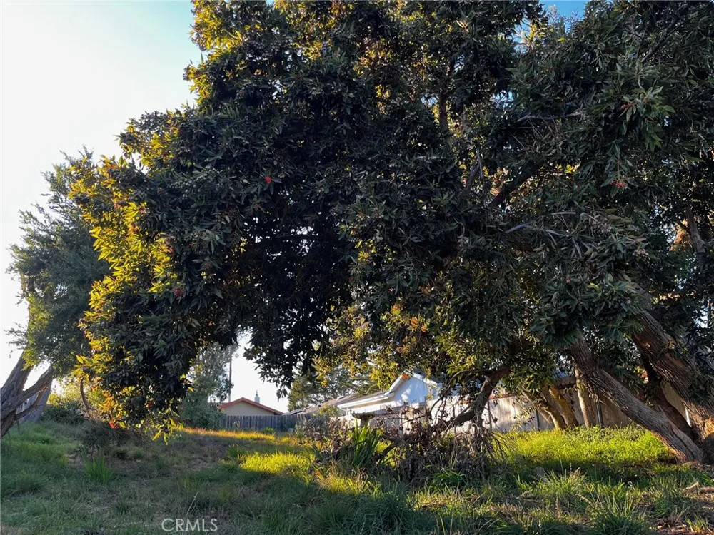 16th Street Los Osos, CA 93402