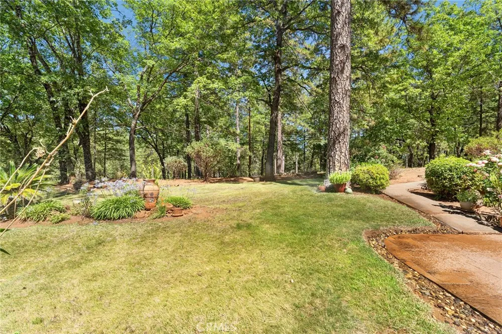 15004 Woodland Park Forest Ranch, CA 95942