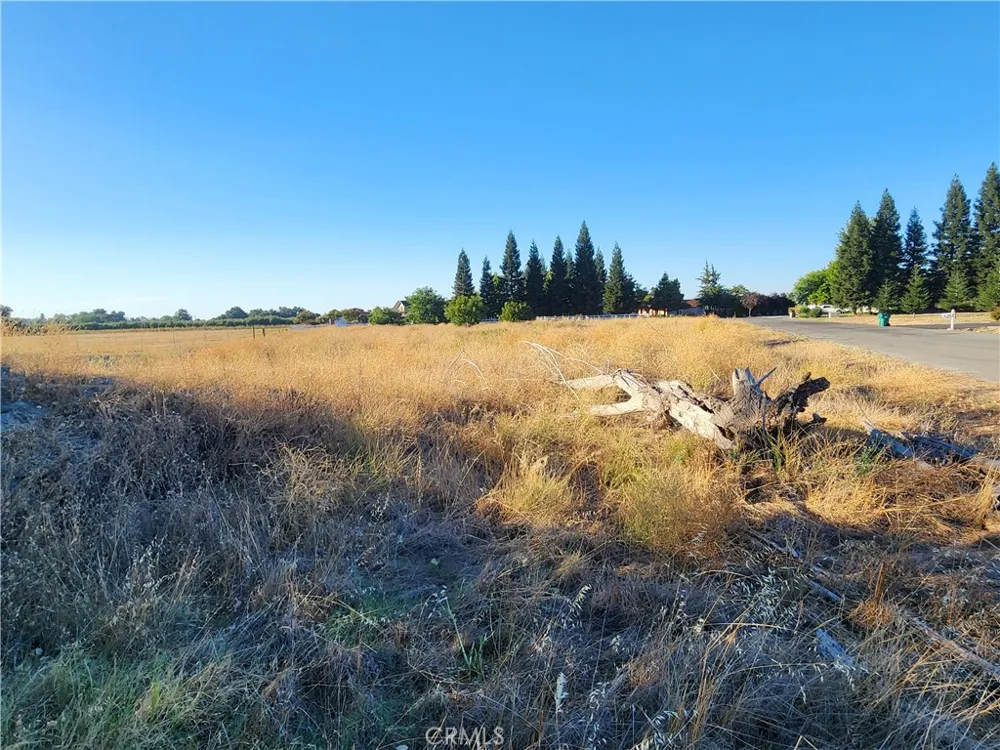 6150 County Road 200 Orland, CA 95963