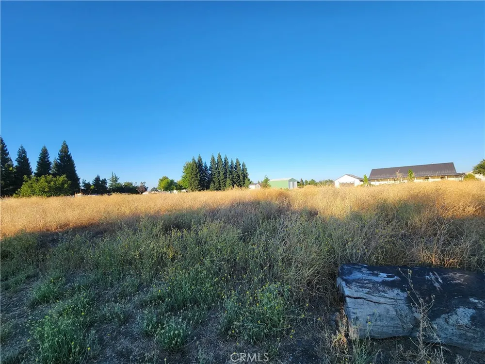 6150 County Road 200 Orland, CA 95963
