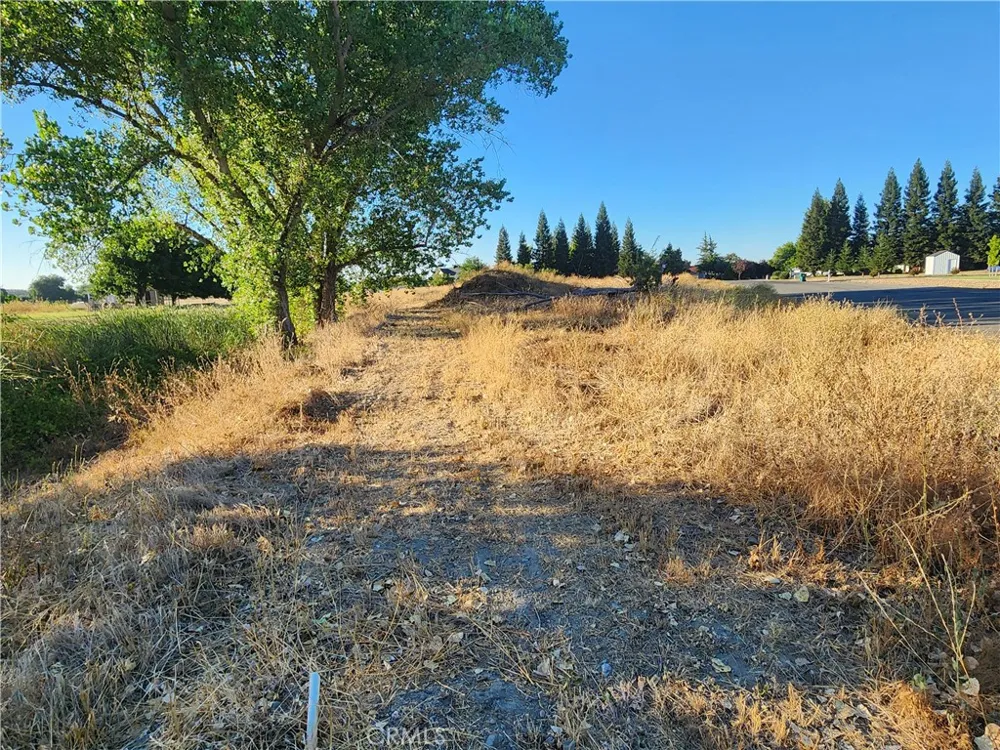 6150 County Road 200 Orland, CA 95963