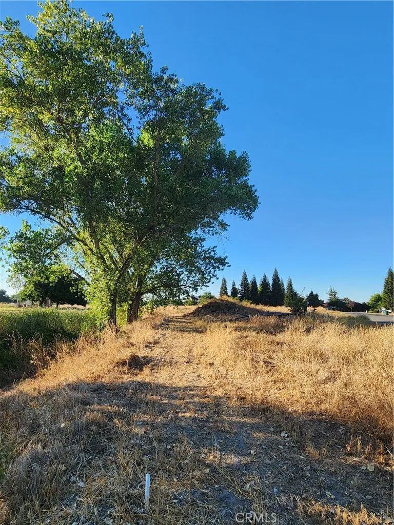 6150 County Road 200 Orland, CA 95963
