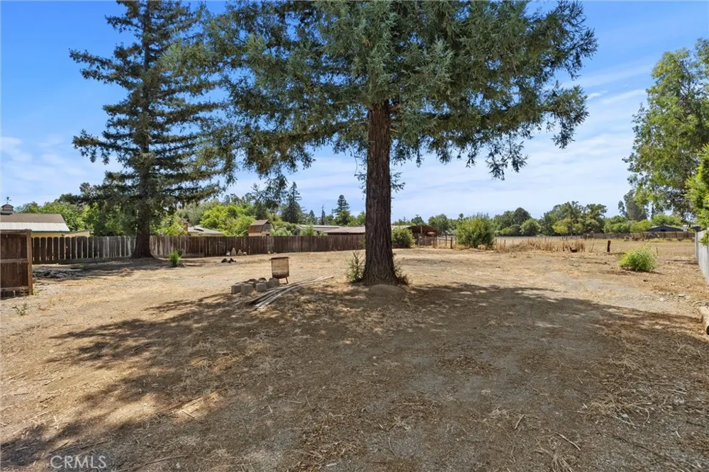 1030 W 1st Willows, CA 95988