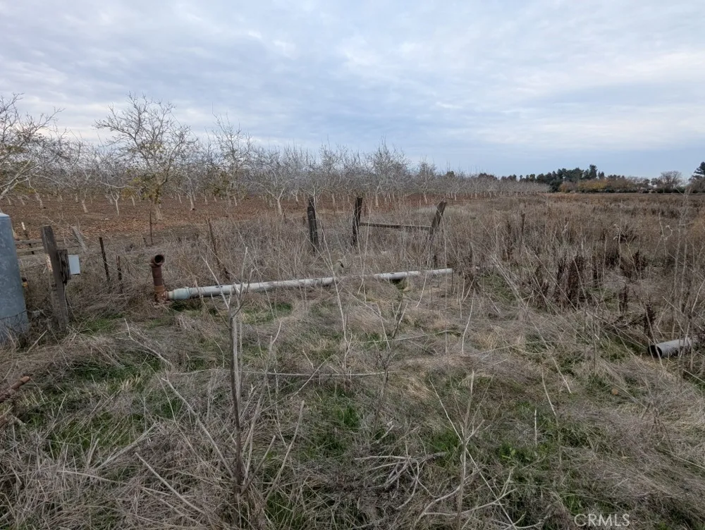 6534 E County Road 49 1/2 Willows, CA 95988