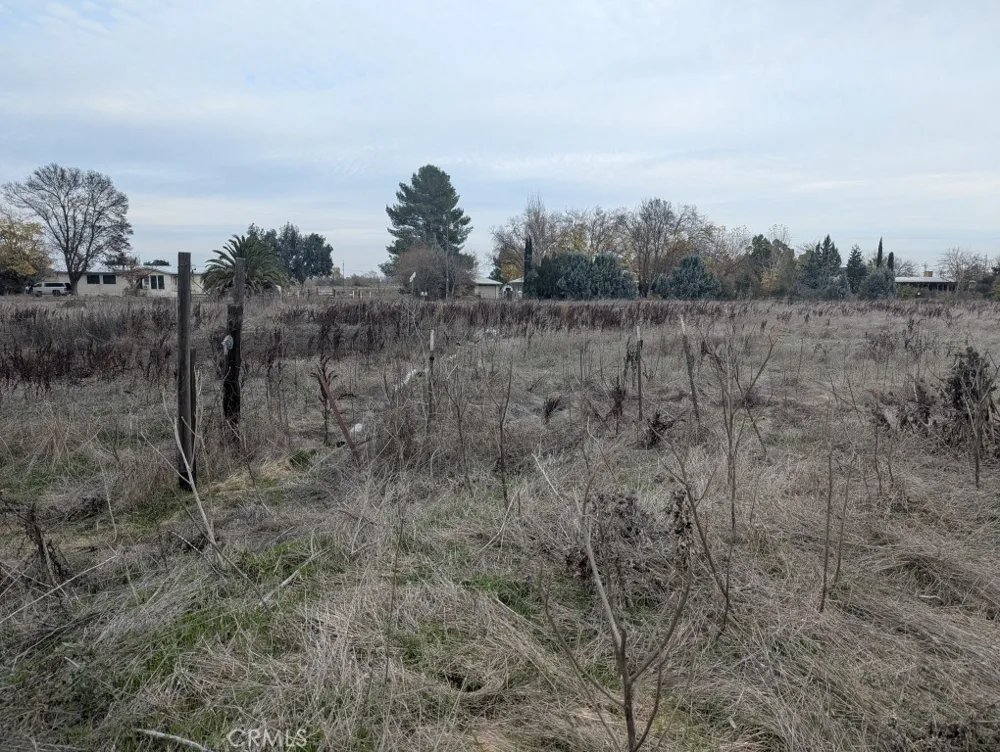 6534 E County Road 49 1/2 Willows, CA 95988