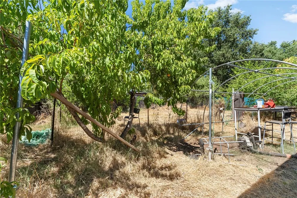 858 Cleveland Avenue Chico, CA 95928