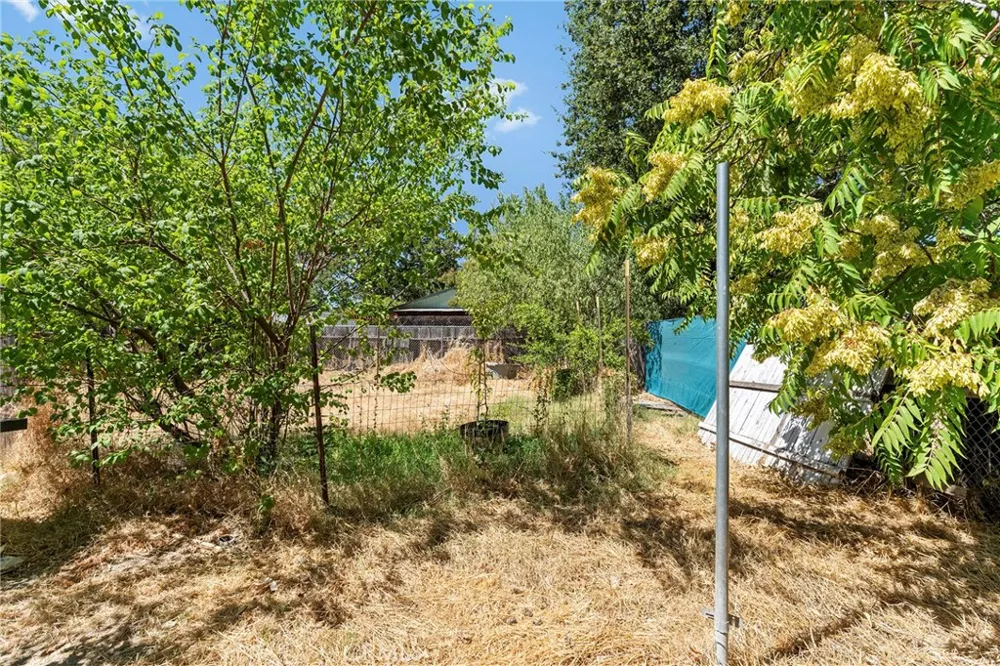 858 Cleveland Avenue Chico, CA 95928