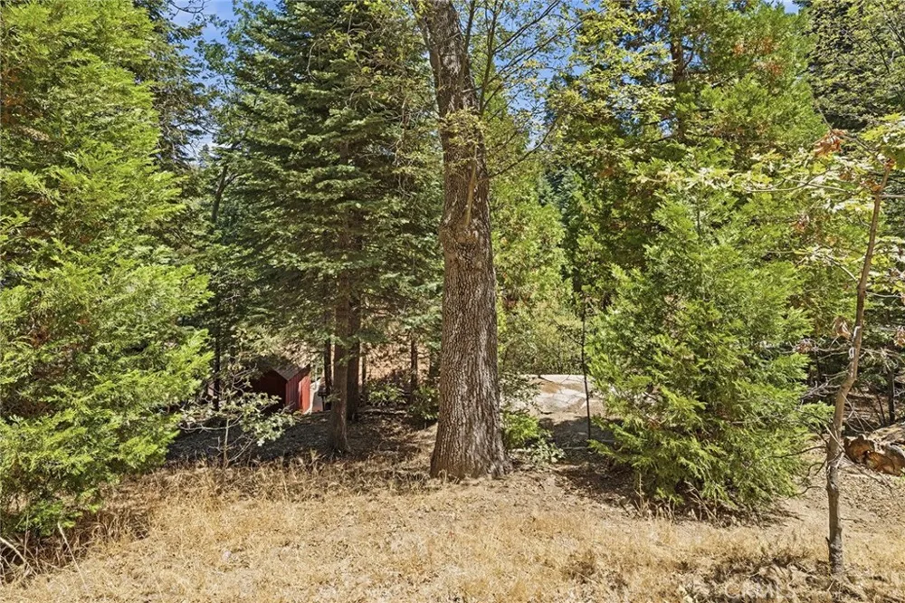 118 E LANE Lake Arrowhead, CA 92352