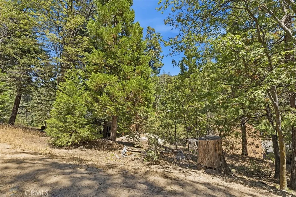 118 E LANE Lake Arrowhead, CA 92352