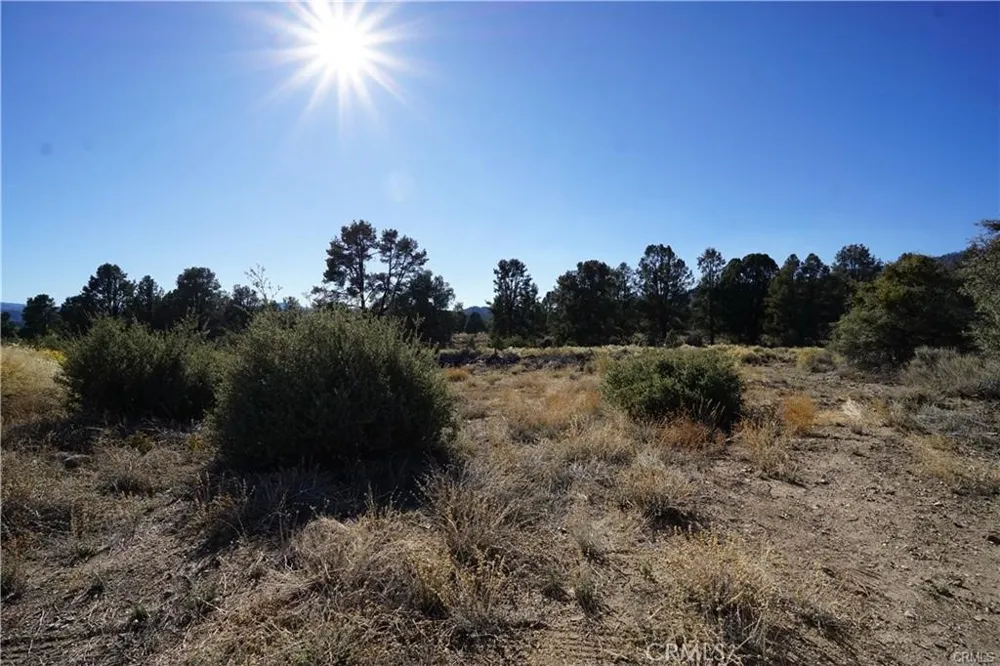 37112 Adams Trail Frazier Park, CA 93225