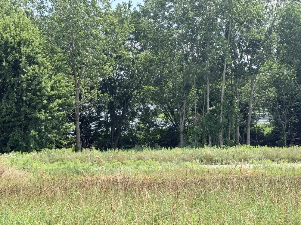 375 Post Way Drive Allegan, MI 49010