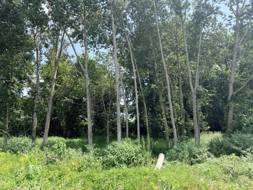 375 Post Way Drive Allegan, MI 49010