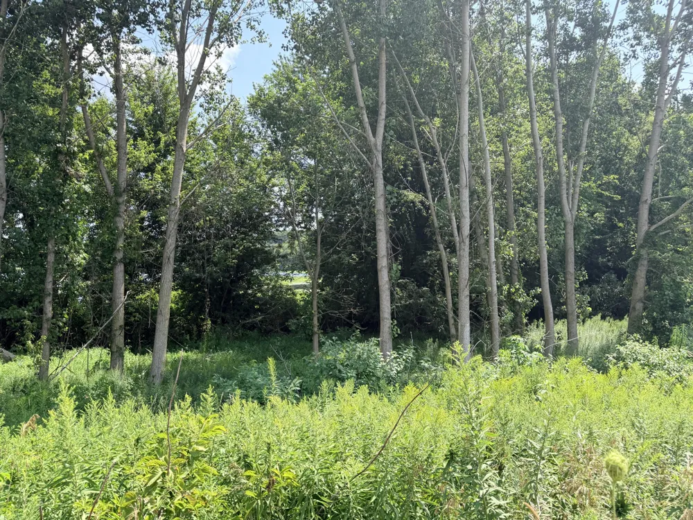 375 Post Way Drive Allegan, MI 49010