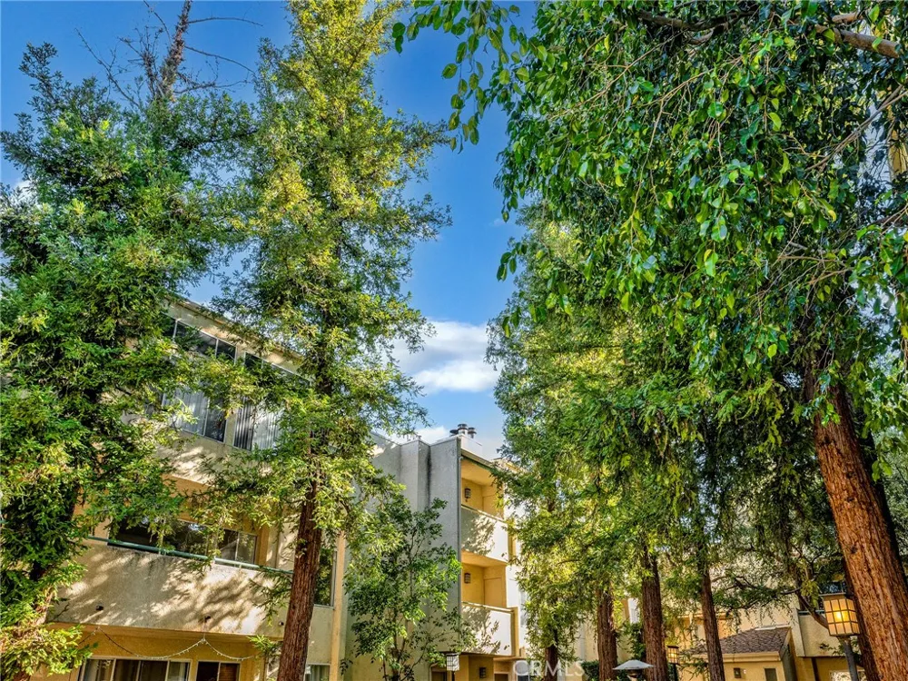 7800 Topanga Canyon Boulevard #216 Canoga Park, CA 91304