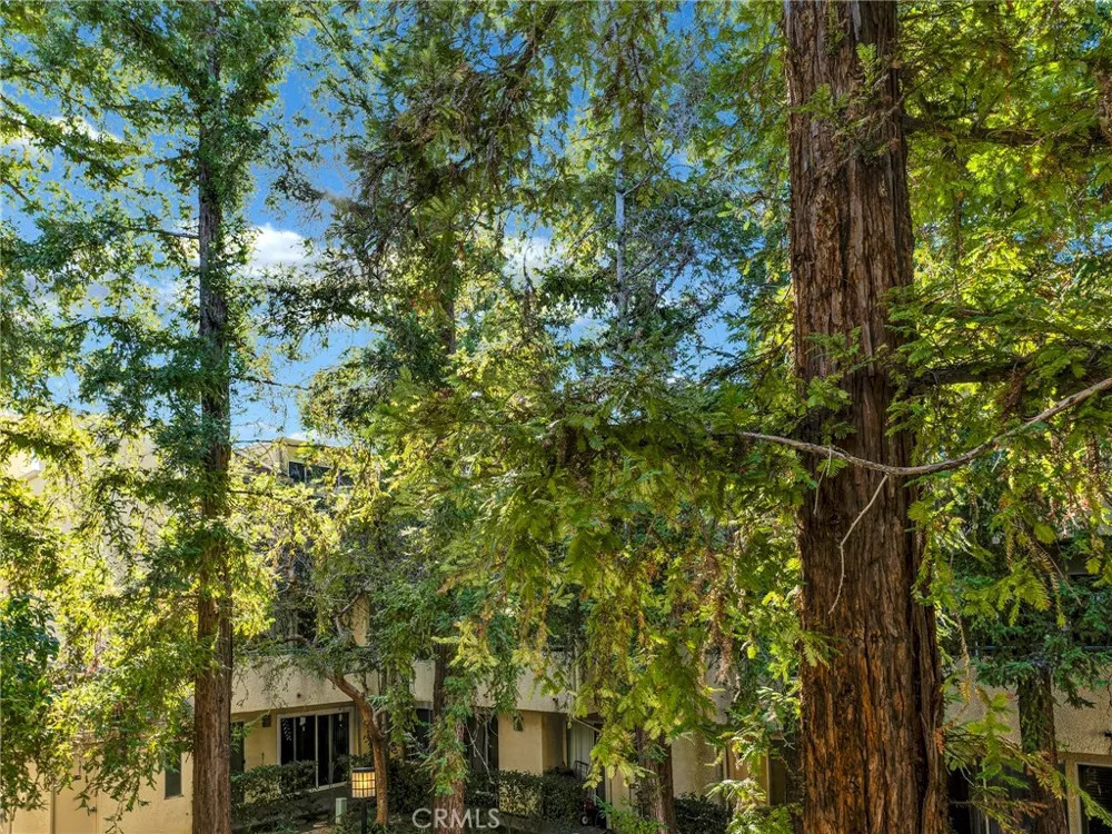 7800 Topanga Canyon Boulevard #216 Canoga Park, CA 91304