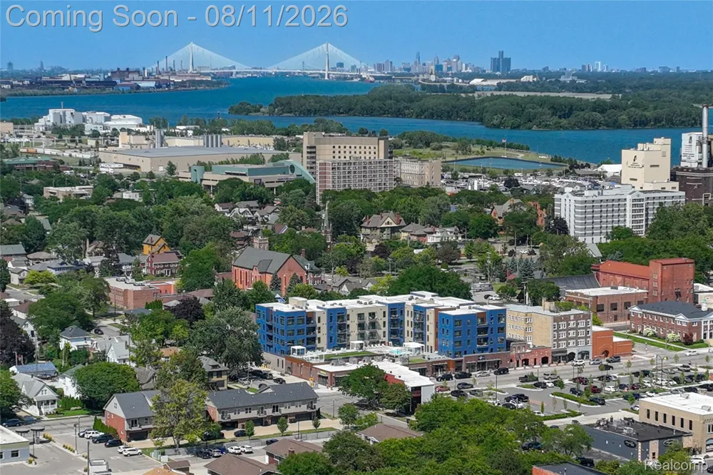 346 Sycamore Street Wyandotte City, MI 48192