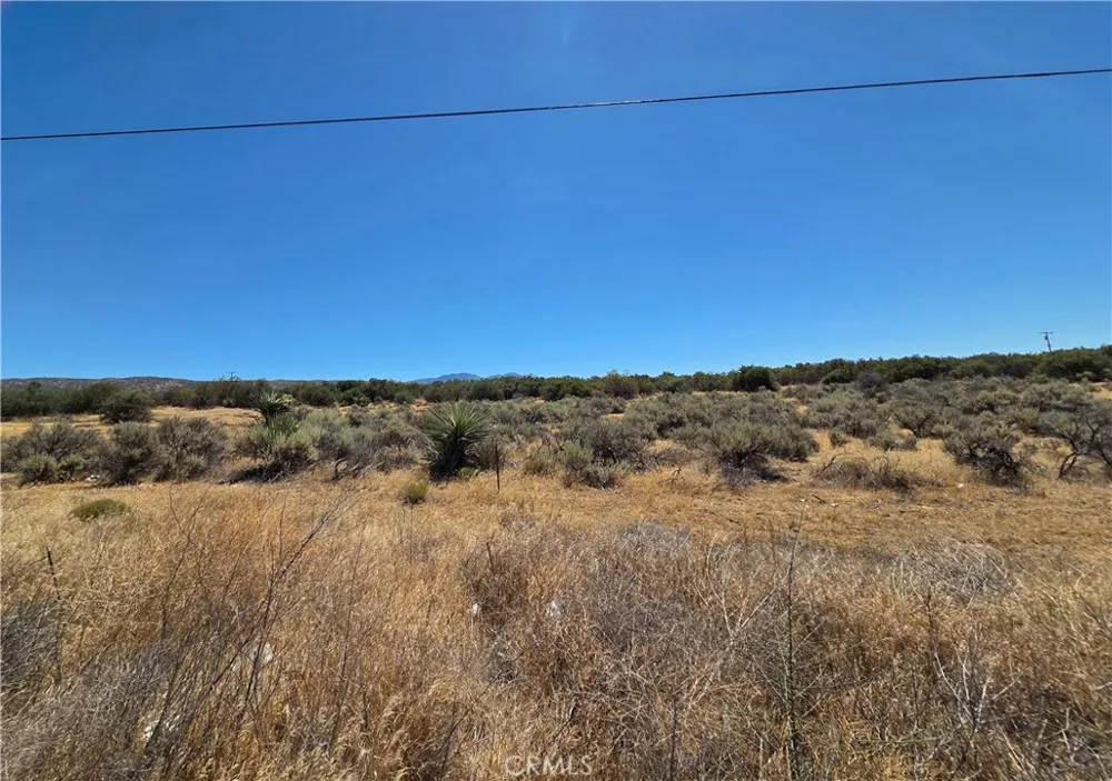 3 Terwilliger Anza, CA 92539