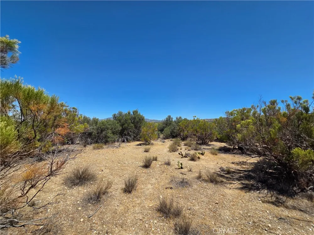 3 Terwilliger Anza, CA 92539