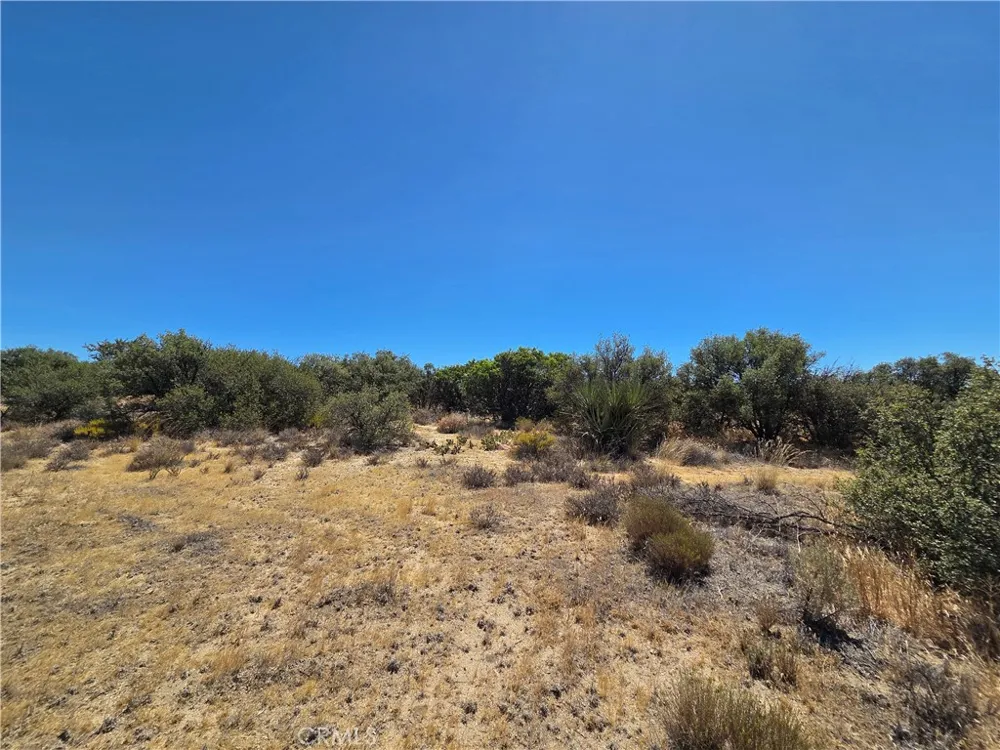 2 Terwilliger Anza, CA 92539