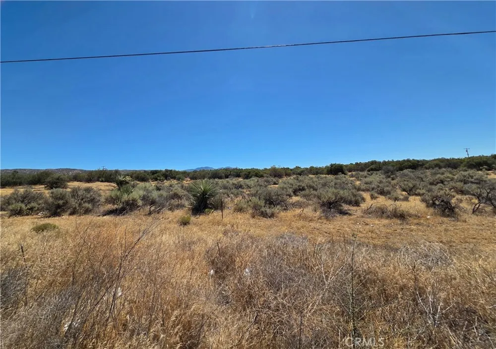2 Terwilliger Anza, CA 92539