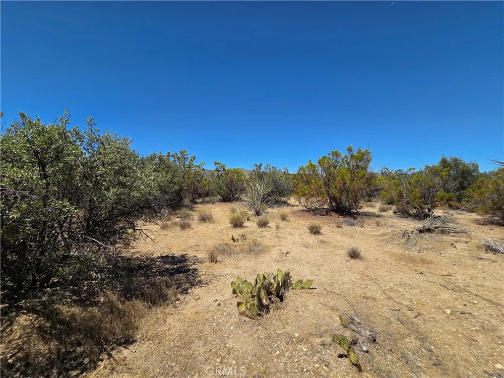 2 Terwilliger Anza, CA 92539