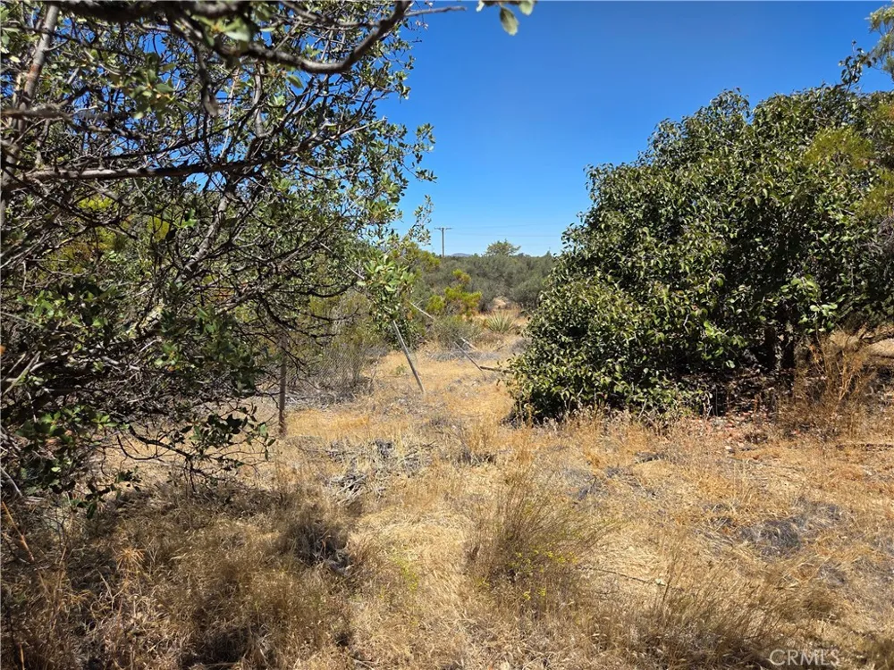1 Terwilliger Anza, CA 92539