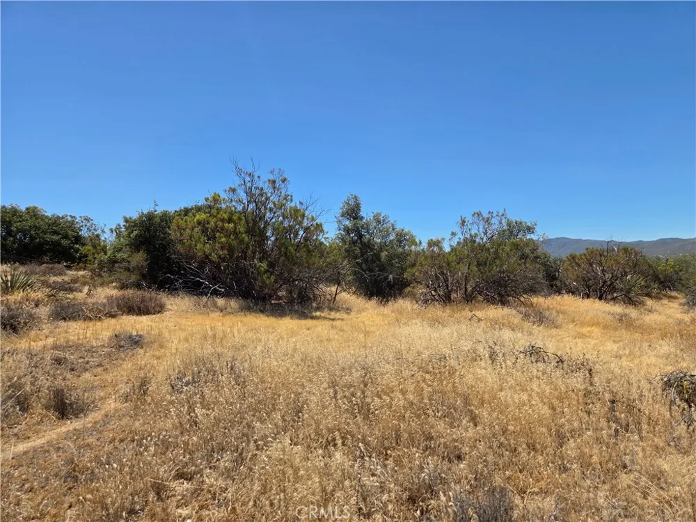 1 Terwilliger Anza, CA 92539