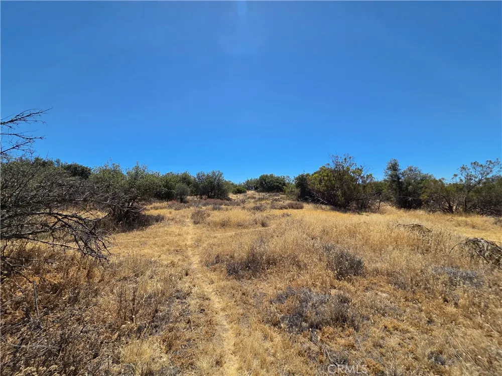 1 Terwilliger Anza, CA 92539