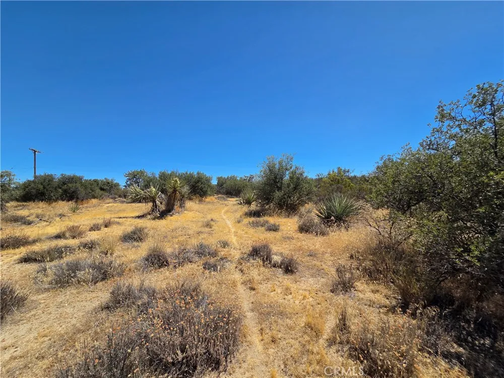 1 Terwilliger Anza, CA 92539