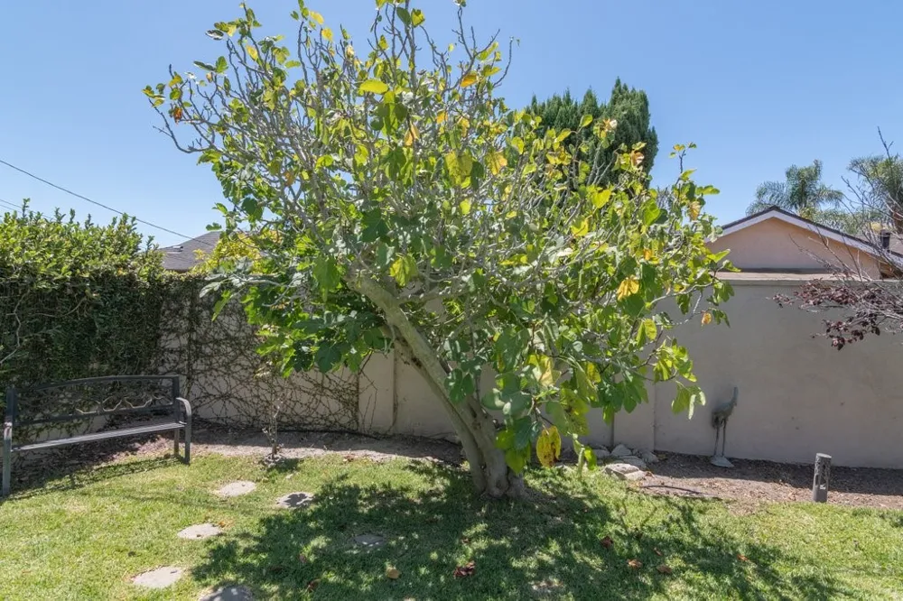 6072 Chinook Ave. Westminster, CA 92683