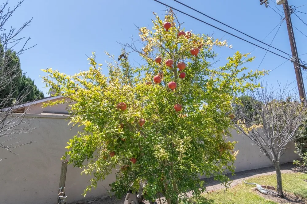 6072 Chinook Ave. Westminster, CA 92683