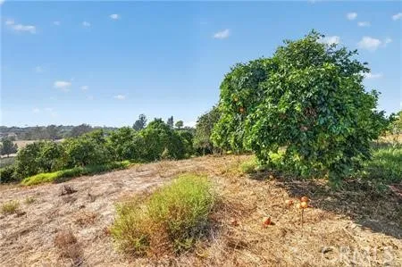 982 Live Oak Park Road Fallbrook, CA 92028