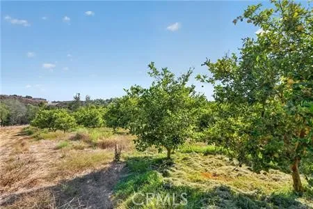 982 Live Oak Park Road Fallbrook, CA 92028