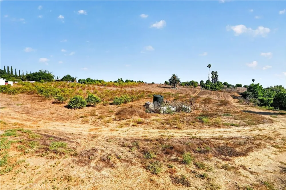 2864 Live Oak Park Fallbrook, CA 92028