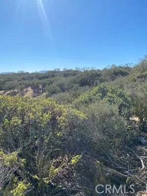 39 Springbrook Anza, CA 92539
